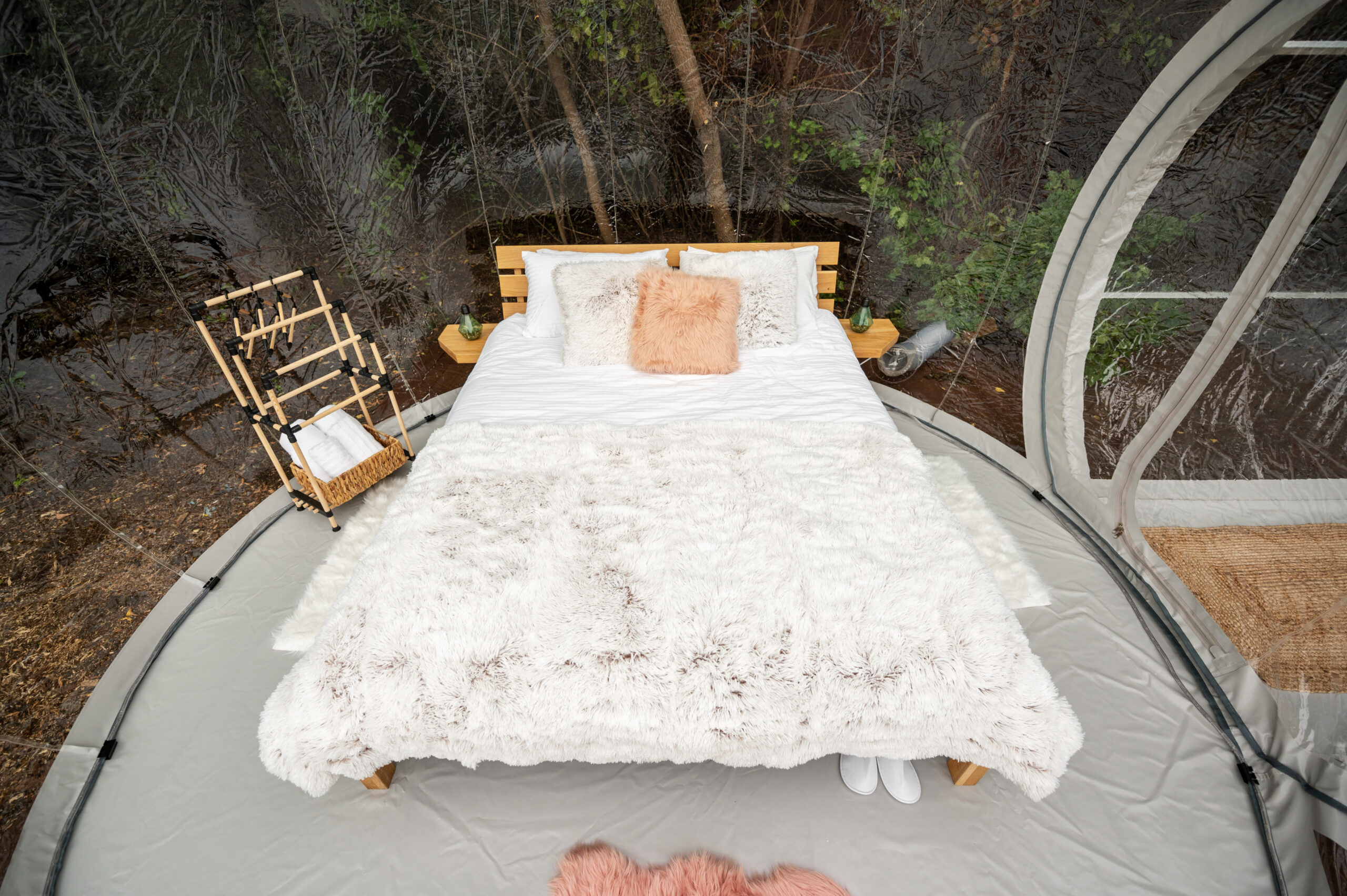 Transparent bubble tent at glamping, Lush forest around and interior. View from inside